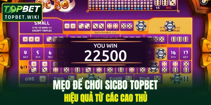 Đây là 1 nền tảng vững chắc cho mọi quyết định về sau